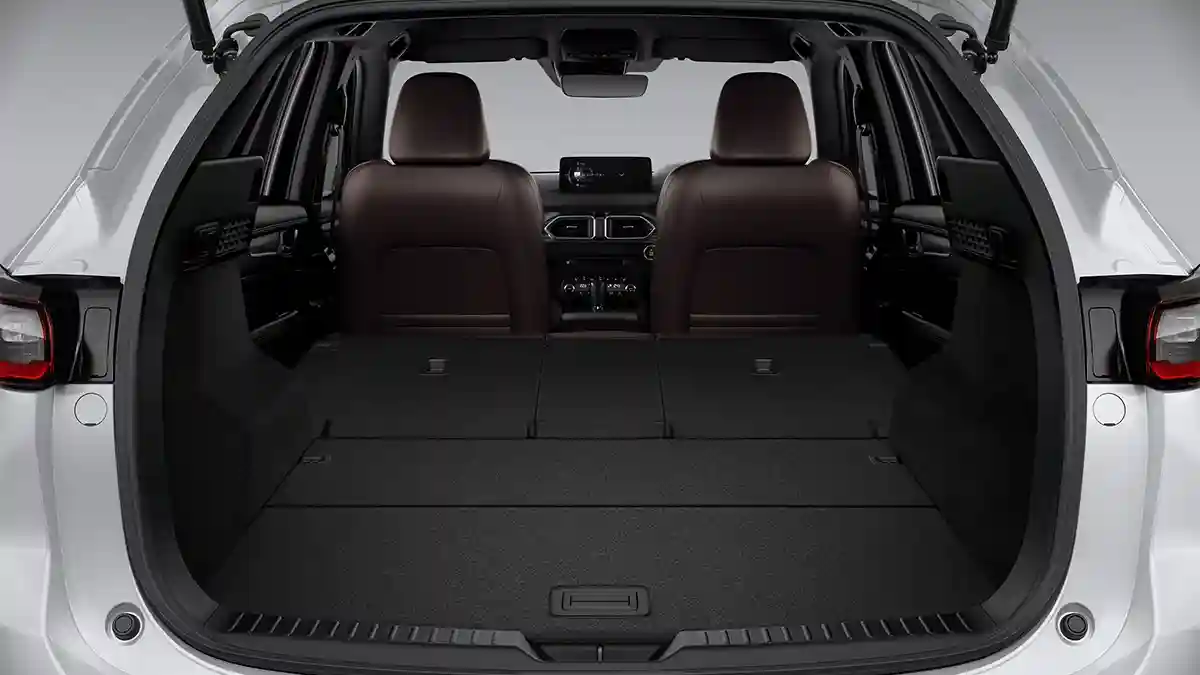 car_picture